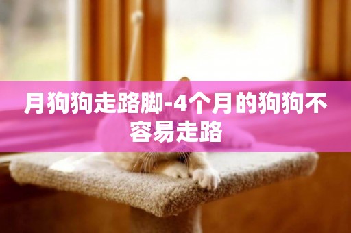月狗狗走路腳-4個月的狗狗不容易走路