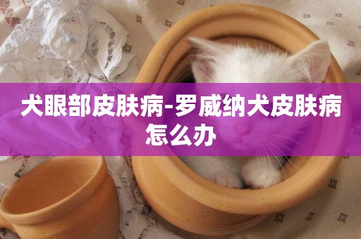 犬眼部皮膚病-羅威納犬皮膚病怎么辦