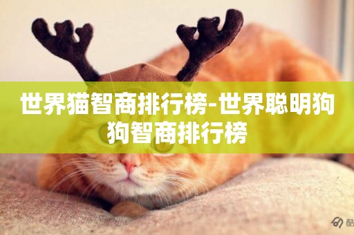 世界貓智商排行榜-世界聰明狗狗智商排行榜