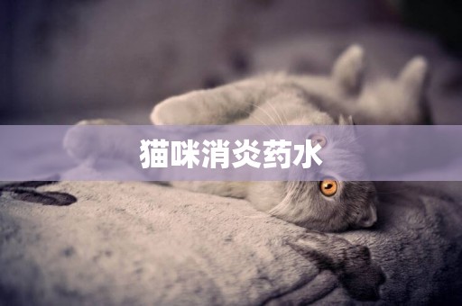 貓咪消炎藥水