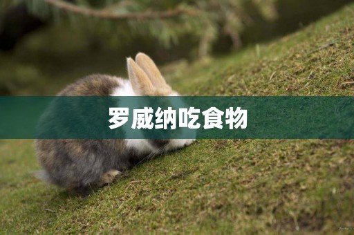 羅威納吃食物