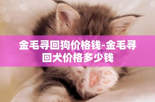 金毛尋回狗價格錢-金毛尋回犬價格多少錢