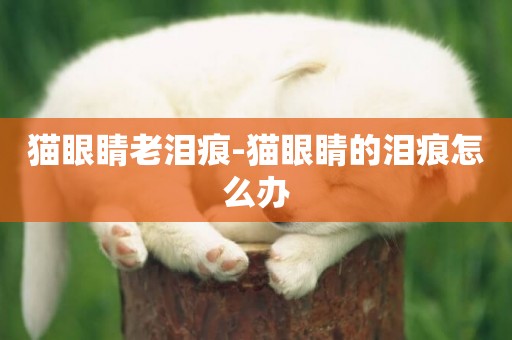 貓眼睛老淚痕-貓眼睛的淚痕怎么辦