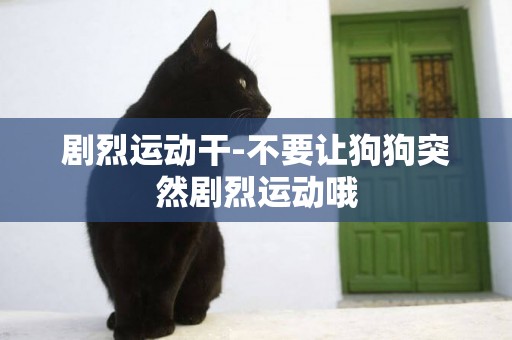 劇烈運動干-不要讓狗狗突然劇烈運動哦