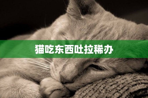 貓吃東西吐拉稀辦
