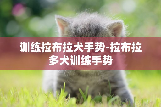 訓練拉布拉犬手勢-拉布拉多犬訓練手勢