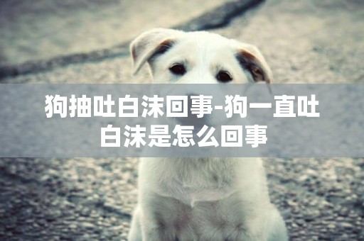狗抽吐白沫回事-狗一直吐白沫是怎么回事