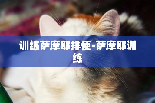 訓練薩摩耶排便-薩摩耶訓練