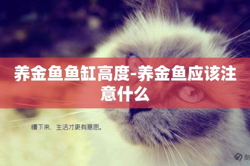 養金魚魚缸高度-養金魚應該注意什么