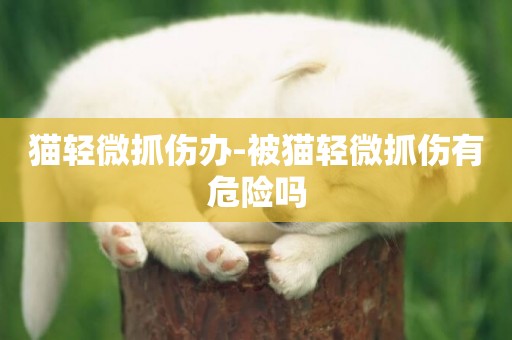 貓輕微抓傷辦-被貓輕微抓傷有危險嗎