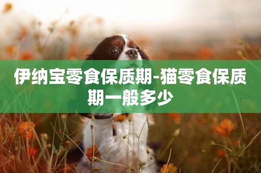 伊納寶零食保質期-貓零食保質期一般多少