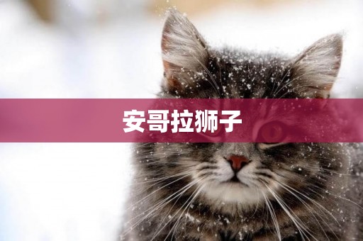 安哥拉獅子