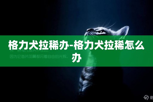 格力犬拉稀辦-格力犬拉稀怎么辦