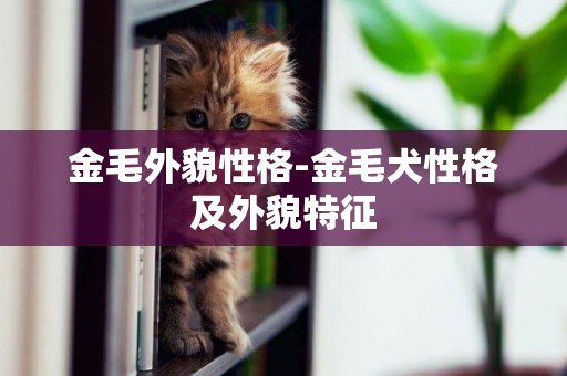 金毛外貌性格-金毛犬性格及外貌特征