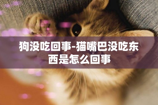 狗沒吃回事-貓嘴巴沒吃東西是怎么回事