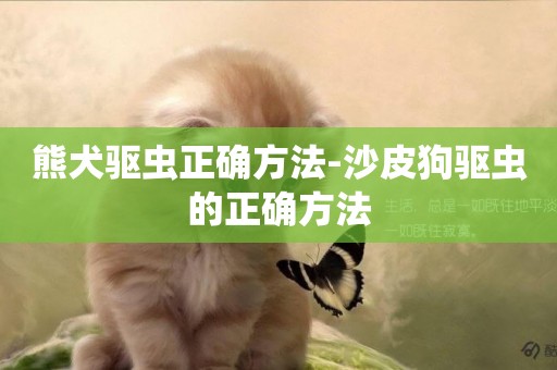 熊犬驅蟲正確方法-沙皮狗驅蟲的正確方法