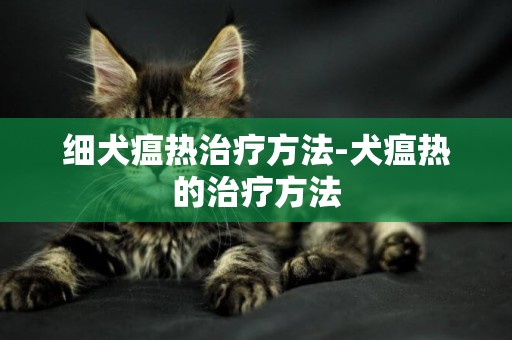 細犬瘟熱治療方法-犬瘟熱的治療方法