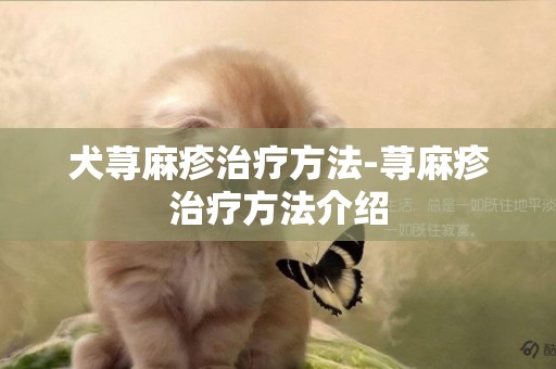 犬蕁麻疹治療方法-蕁麻疹治療方法介紹