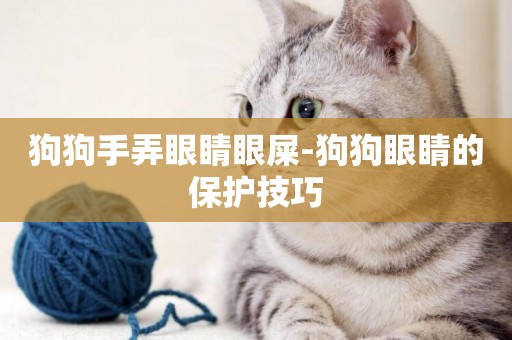 狗狗手弄眼睛眼屎-狗狗眼睛的保護技巧