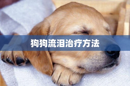 狗狗流淚治療方法
