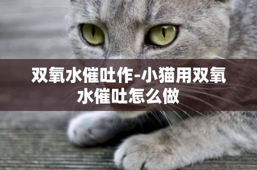 雙氧水催吐作-小貓用雙氧水催吐怎么做