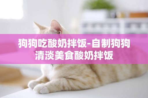 狗狗吃酸奶拌飯-自制狗狗清淡美食酸奶拌飯