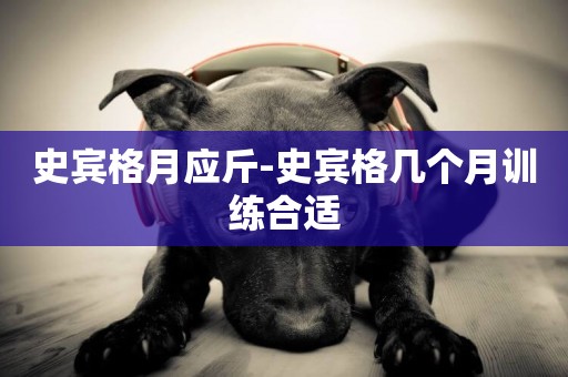 史賓格月應斤-史賓格幾個月訓練合適