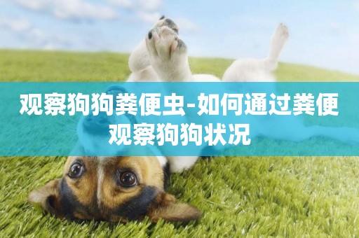 觀察狗狗糞便蟲-如何通過糞便觀察狗狗狀況