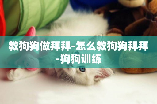 教狗狗做拜拜-怎么教狗狗拜拜-狗狗訓練