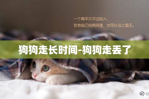 狗狗走長時間-狗狗走丟了