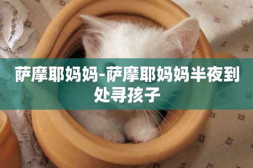 薩摩耶媽媽-薩摩耶媽媽半夜到處尋孩子