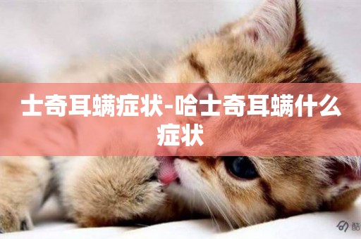 士奇耳螨癥狀-哈士奇耳螨什么癥狀