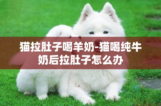 貓拉肚子喝羊奶-貓喝純牛奶后拉肚子怎么辦