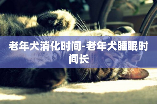 老年犬消化時間-老年犬睡眠時間長