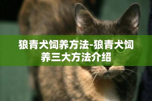 狼青犬飼養方法-狼青犬飼養三大方法介紹
