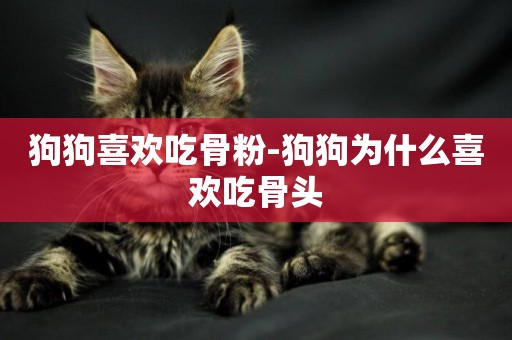 狗狗喜歡吃骨粉-狗狗為什么喜歡吃骨頭