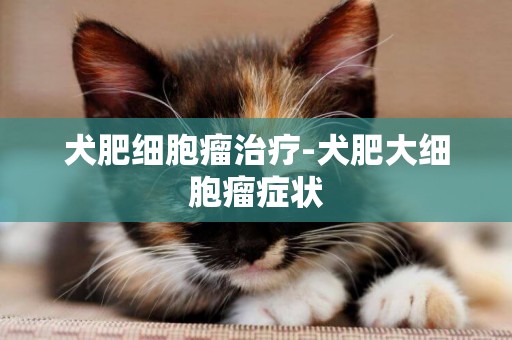 犬肥細胞瘤治療-犬肥大細胞瘤癥狀