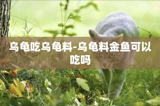 烏龜吃烏龜料-烏龜料金魚可以吃嗎