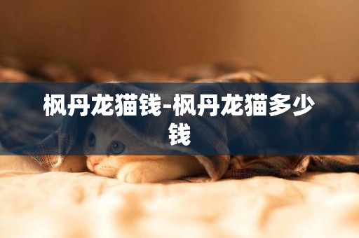 楓丹龍貓錢-楓丹龍貓多少錢