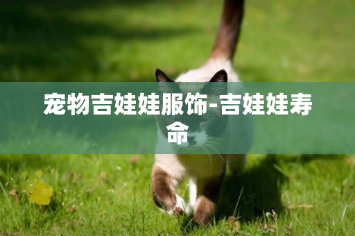 寵物吉娃娃服飾-吉娃娃壽命