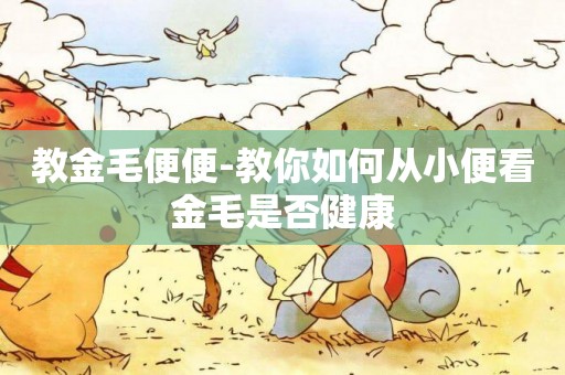 教金毛便便-教你如何從小便看金毛是否健康