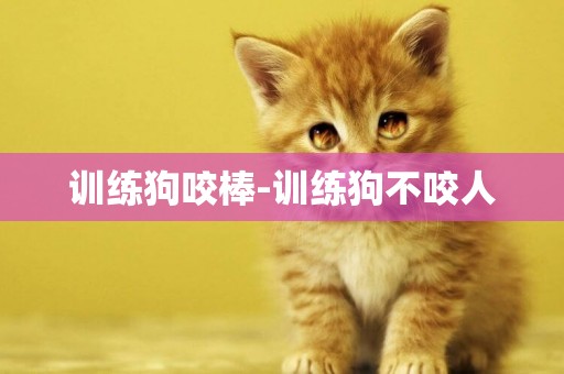 訓練狗咬棒-訓練狗不咬人