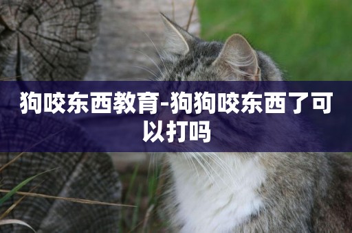 狗咬東西教育-狗狗咬東西了可以打嗎