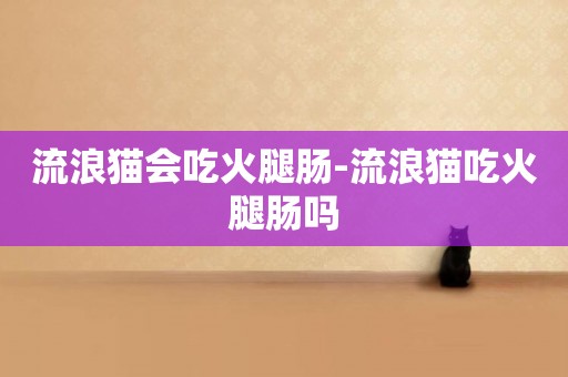 流浪貓會吃火腿腸-流浪貓吃火腿腸嗎