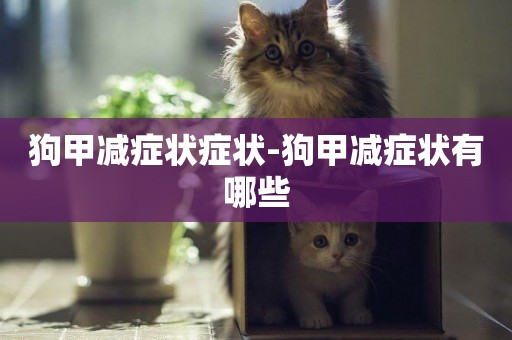 狗甲減癥狀癥狀-狗甲減癥狀有哪些