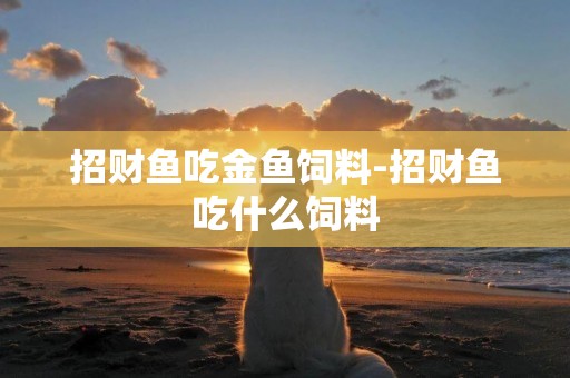招財魚吃金魚飼料-招財魚吃什么飼料