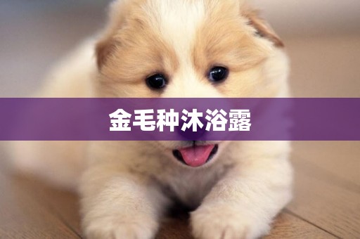 金毛種沐浴露