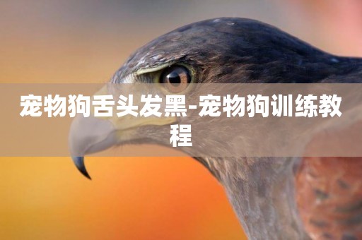 寵物狗舌頭發黑-寵物狗訓練教程
