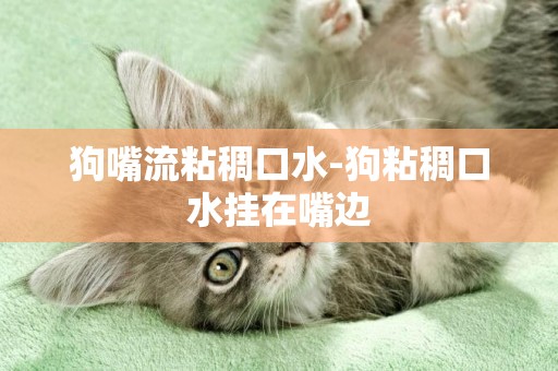 狗嘴流粘稠口水-狗粘稠口水掛在嘴邊