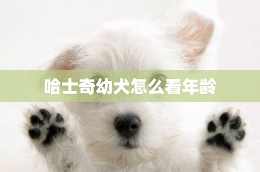 哈士奇幼犬怎么看年齡